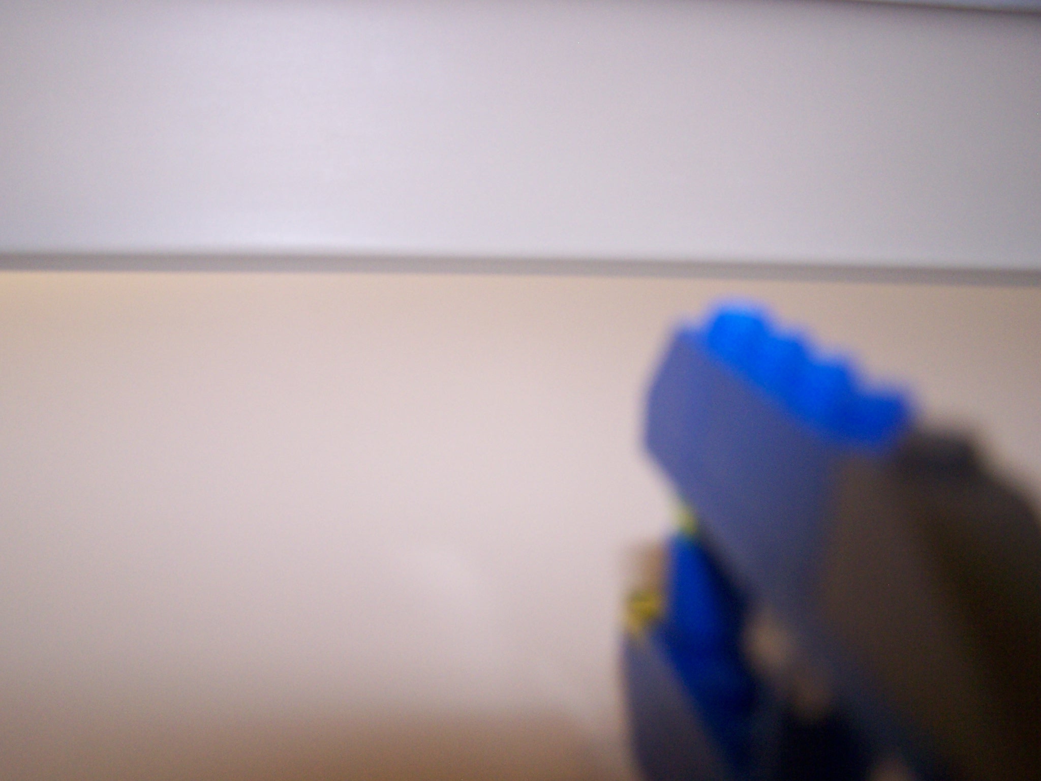 100_0876.jpg