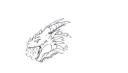 dragon.bmp