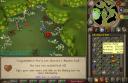 62_hp.png