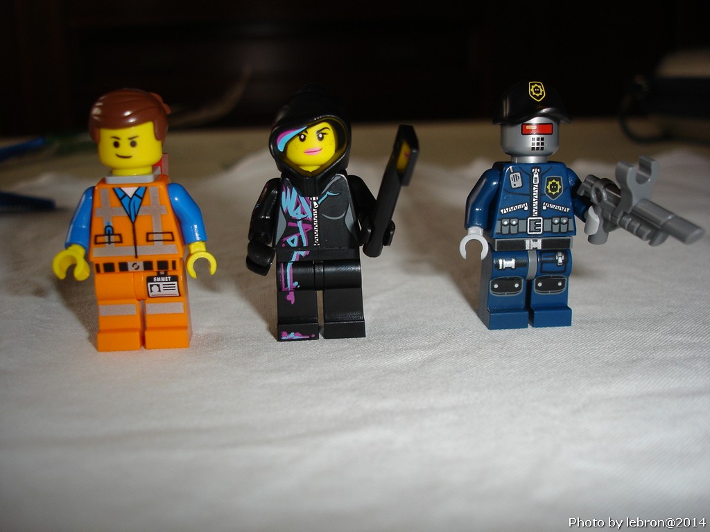 dsc05696.jpg
