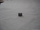 dsc05782.jpg