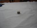 dsc05788.jpg