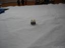 dsc05790.jpg