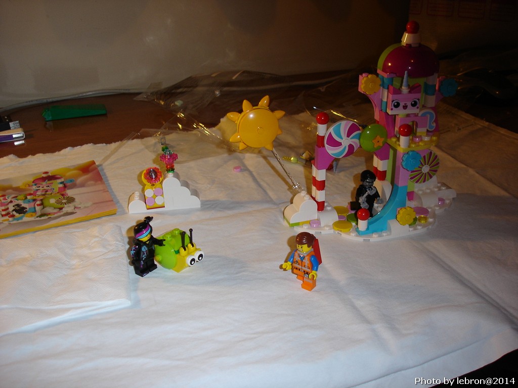 dsc05556.jpg