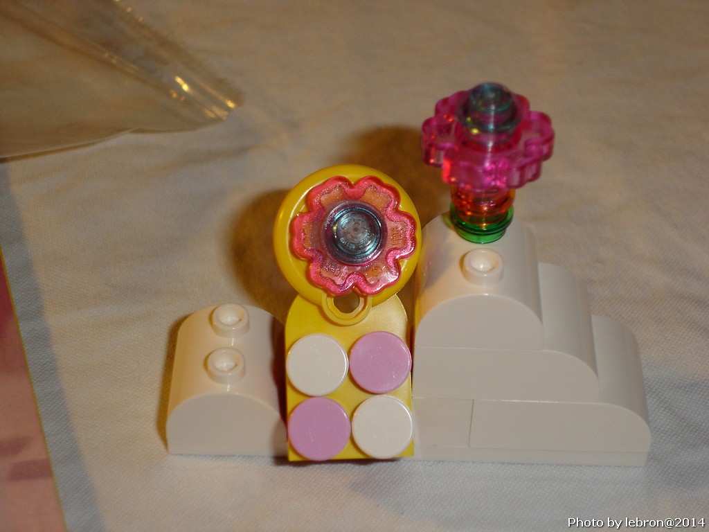 dsc05565.jpg