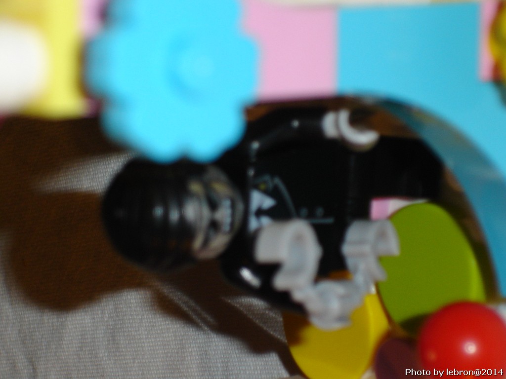 dsc05570.jpg