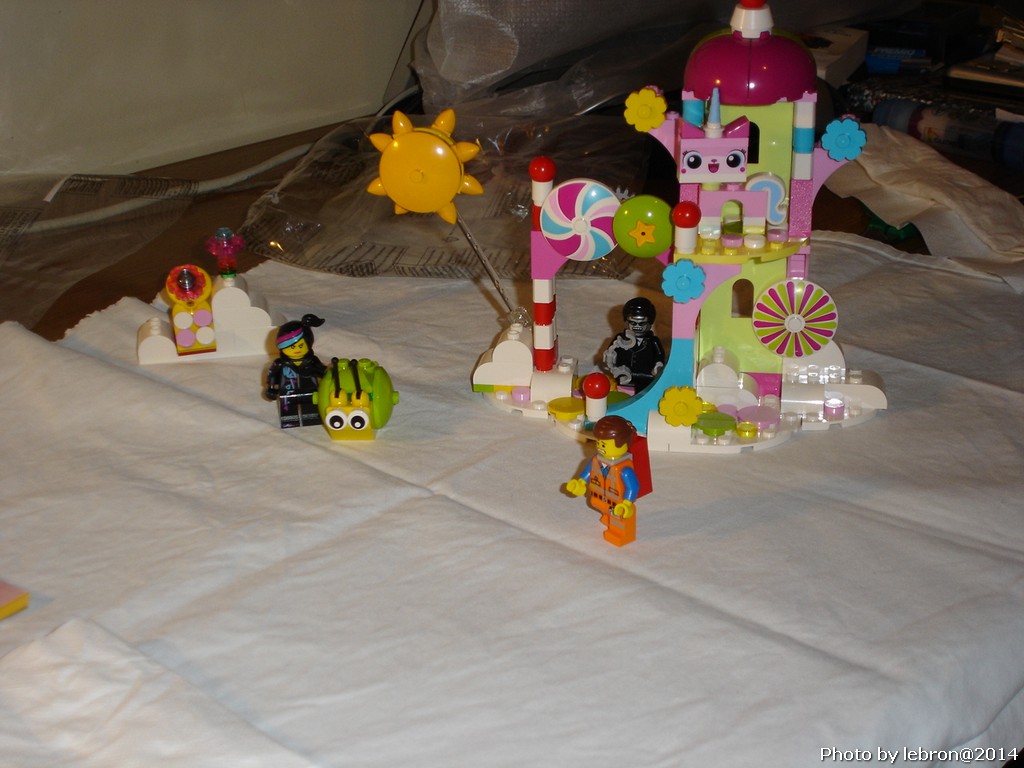 dsc05572.jpg