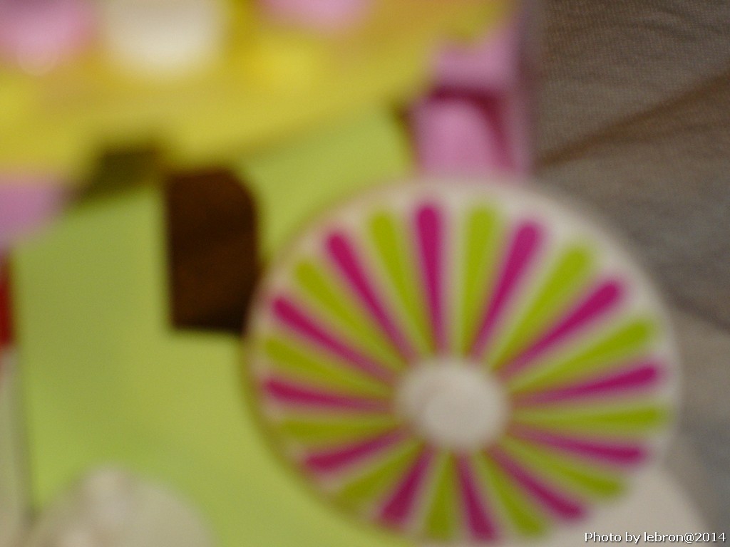 dsc05575.jpg