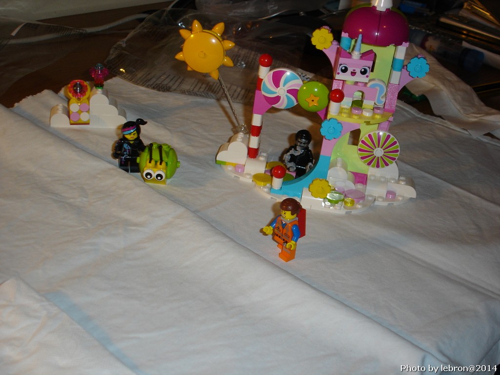 dsc05617.jpg
