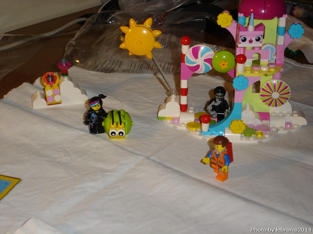 dsc05636.jpg