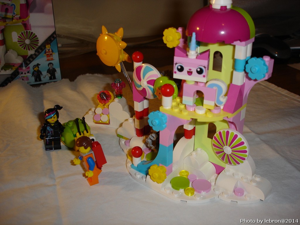 dsc05662.jpg
