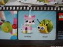dsc05541.jpg