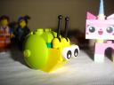 dsc05554.jpg