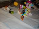 dsc05617.jpg