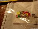 dsc05635.jpg