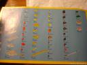 dsc05637.jpg