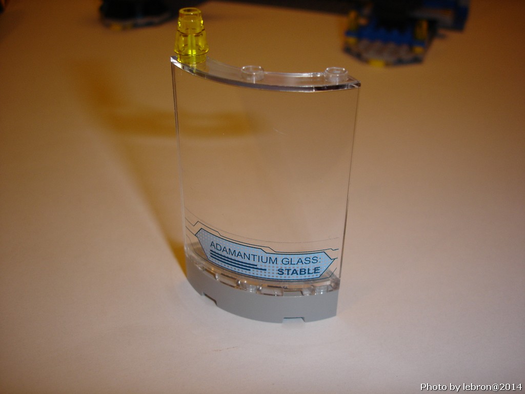 dsc06341.jpg