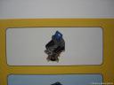 dsc06102.jpg