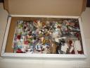 dsc00021.jpg