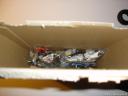 dsc05949.jpg
