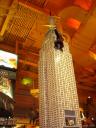 dsc08625.jpg