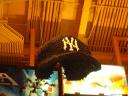 dsc08626.jpg