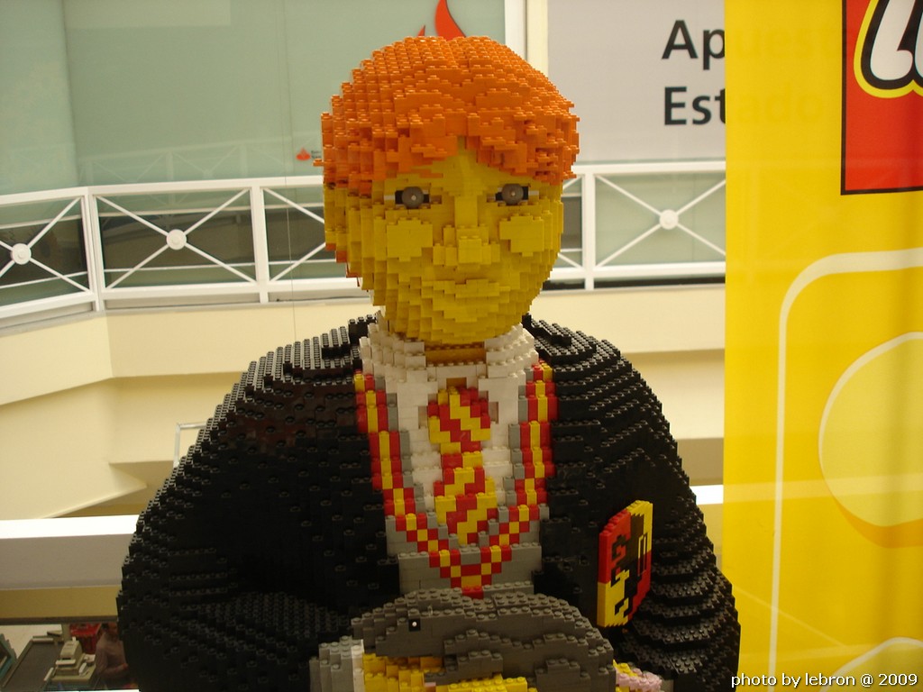 dsc09626.jpg