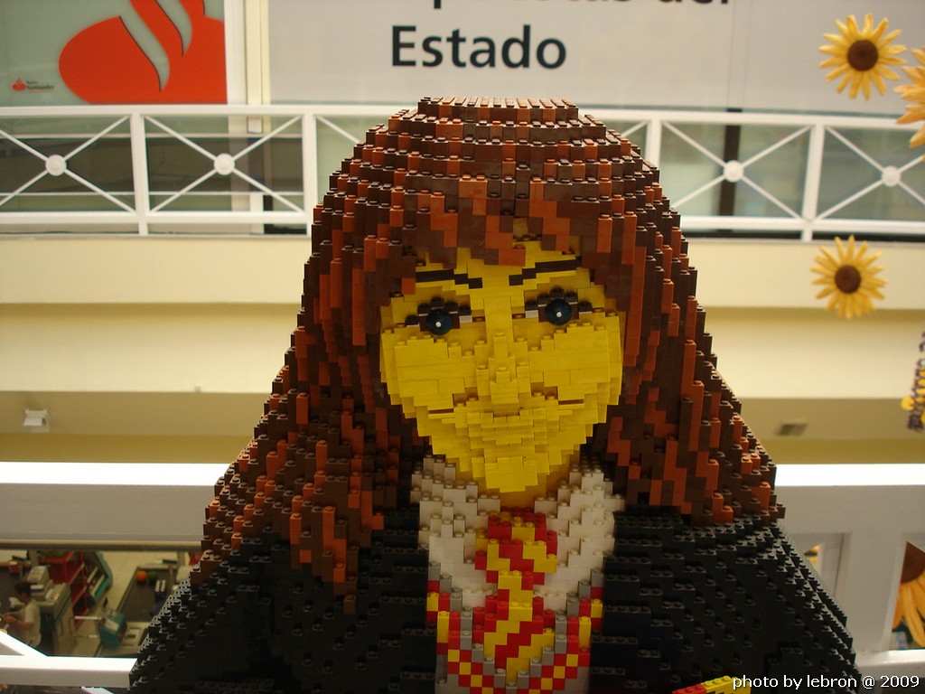 dsc09629.jpg