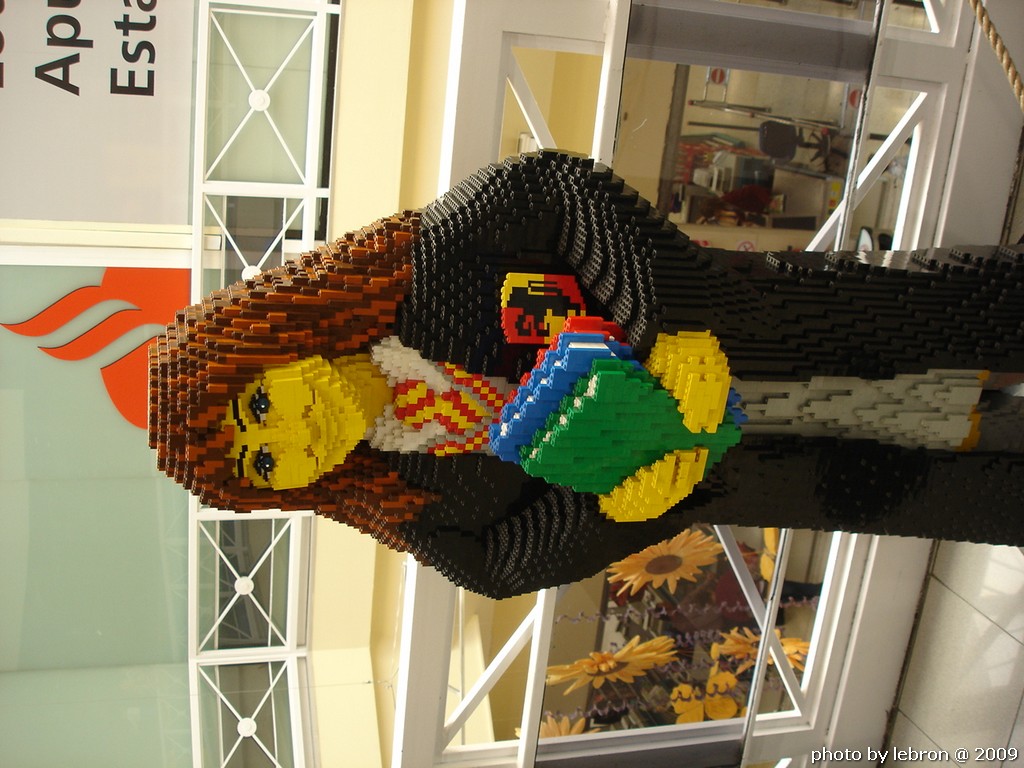 dsc09630.jpg