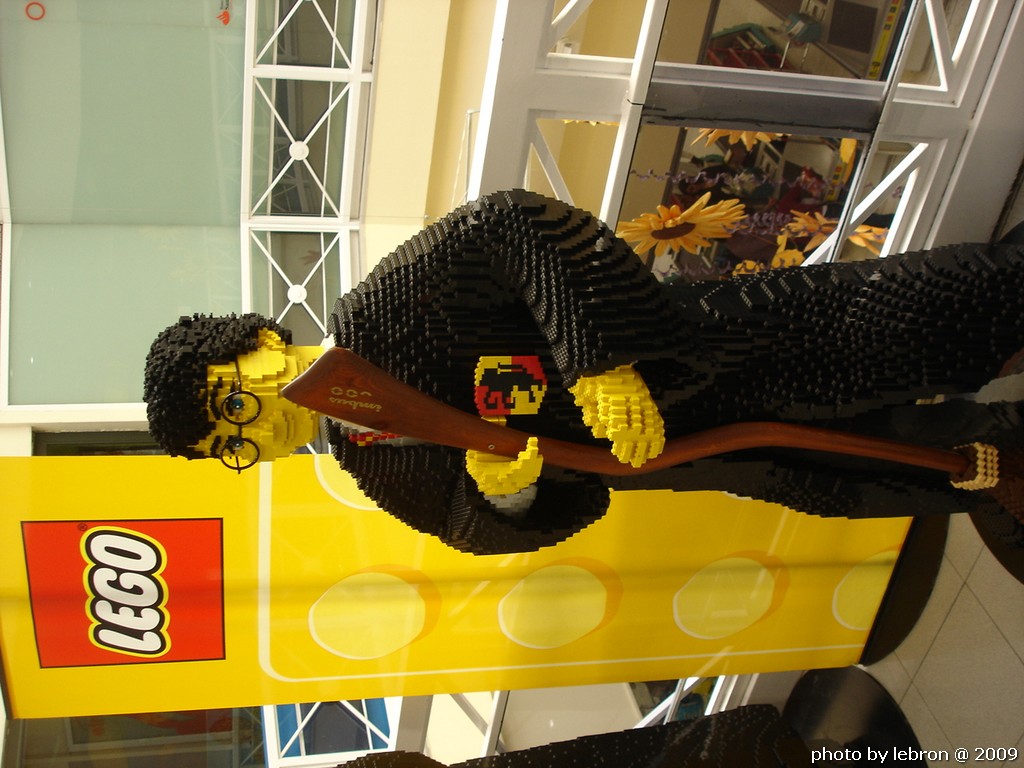dsc09631.jpg