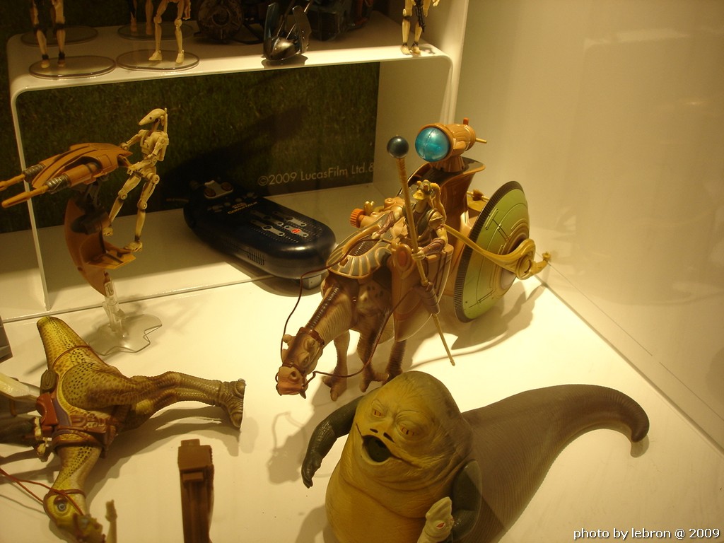 dsc09485.jpg