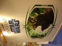 dsc09444.jpg