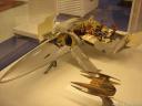 dsc09479.jpg