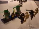 dsc09491.jpg