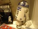dsc09949.jpg