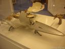 dsc09973.jpg