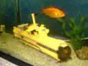 Agghhh-giant-fish