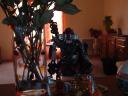 dscf0754.jpg