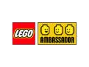 Ambassador