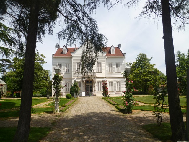 01.jpg