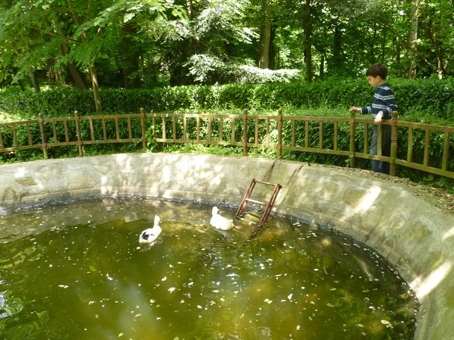 09.jpg