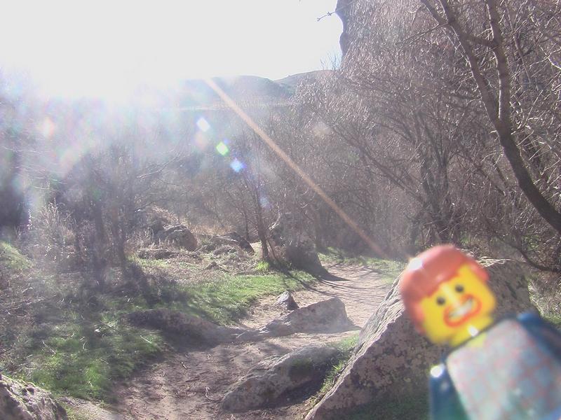 06.jpg