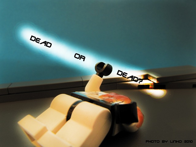 copia_de_img_3048_bis.jpg