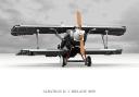 albatros_d_v_biplane_03.png