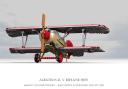 albatros_daimler_d_v_04.png