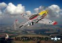 p51d_mustang_dearborn_doll_09.png