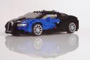 bugatti_veyron_53.jpg