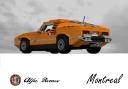 alfa_romeo_montreal_05.png