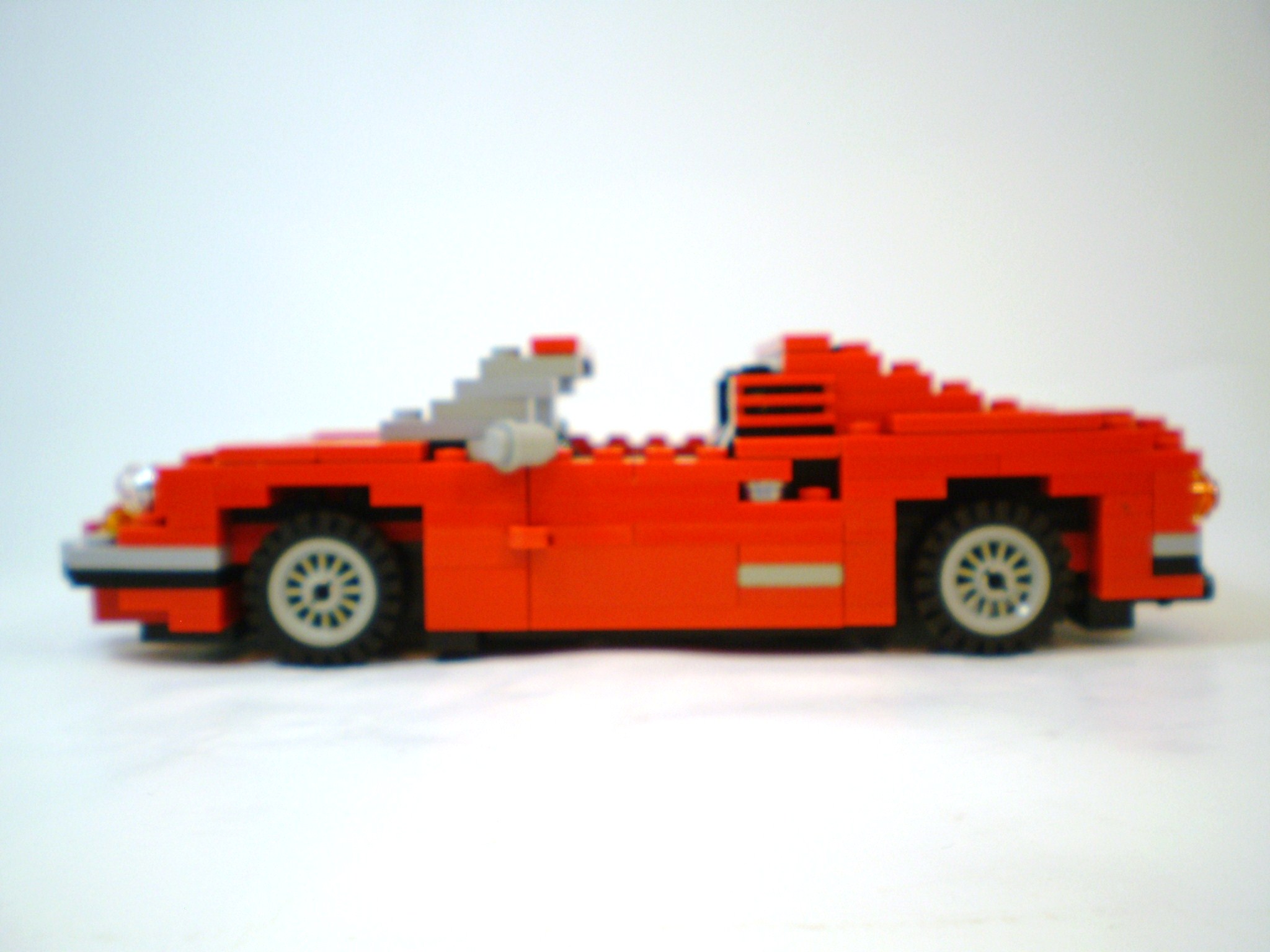 dino246_gts_13.jpg