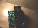 new_mocs_001_0009.jpg